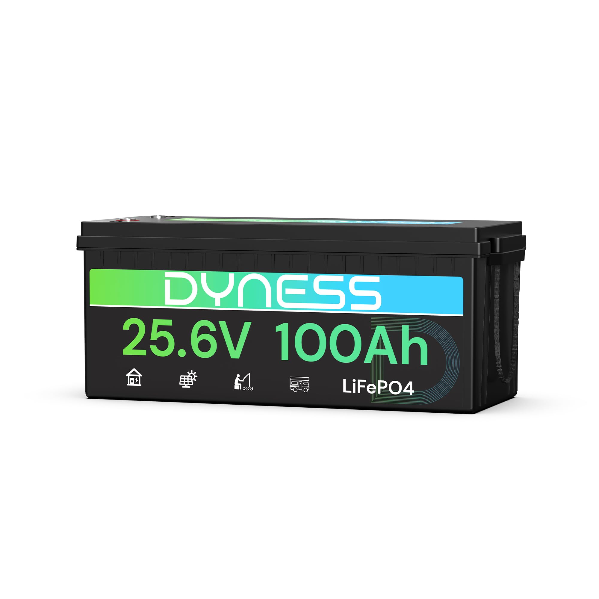 Dyness 24V 100Ah LiFePO4 Lithium Batterie mit Integriertem 100A BMS und Tieftemperaturschutz, ideal für 24V Trolling-Motoren(Bassboote), Wohnmobile und netzunabhängige Anwendungen