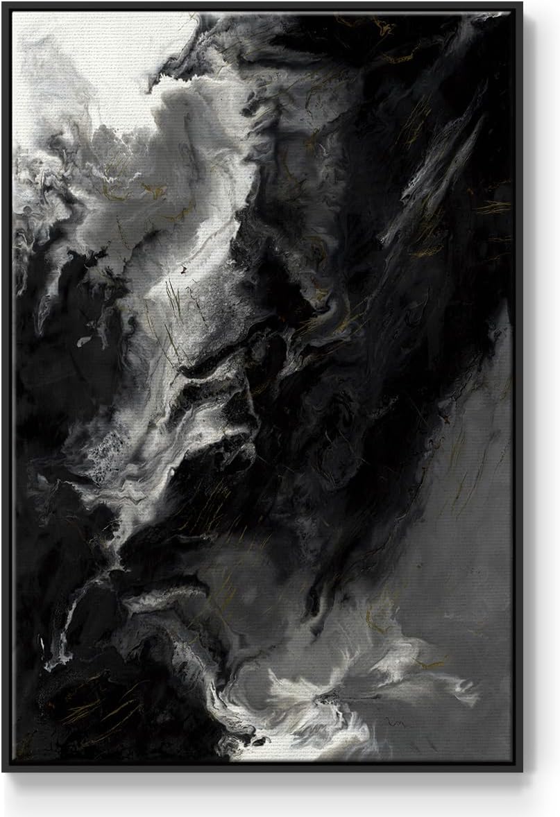 Renditions Gallery Canvas Black Floating Frame Art Picture & Prints Black White Color Transitions Abstract Artwork for Bedroom Office Home Decor - 25"x37" LT538