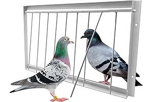 Racing Pigeon Trap Door: An Essential Pigeon Supplies for Efficient Loft Management