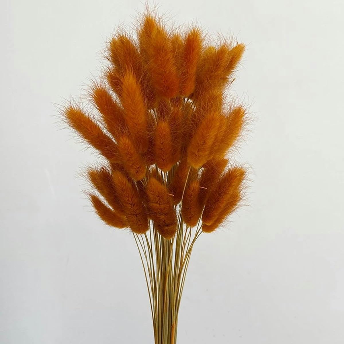 Lot de 50 Bouquets de Fleurs séchées en Forme de Queue de Lapin, décoration de fête de Mariage, Arrangement Floral Moelleux de Noël à Faire soi-même-22