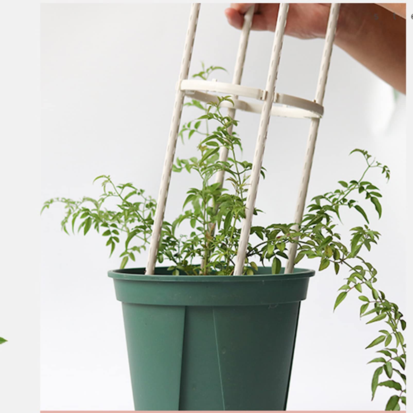 Obélisque de Jardin pour Plantes grimpantes, Tuteur métallique for tomates, rosiers et Fleurs, tuteur Vertical(D20xH90cm)