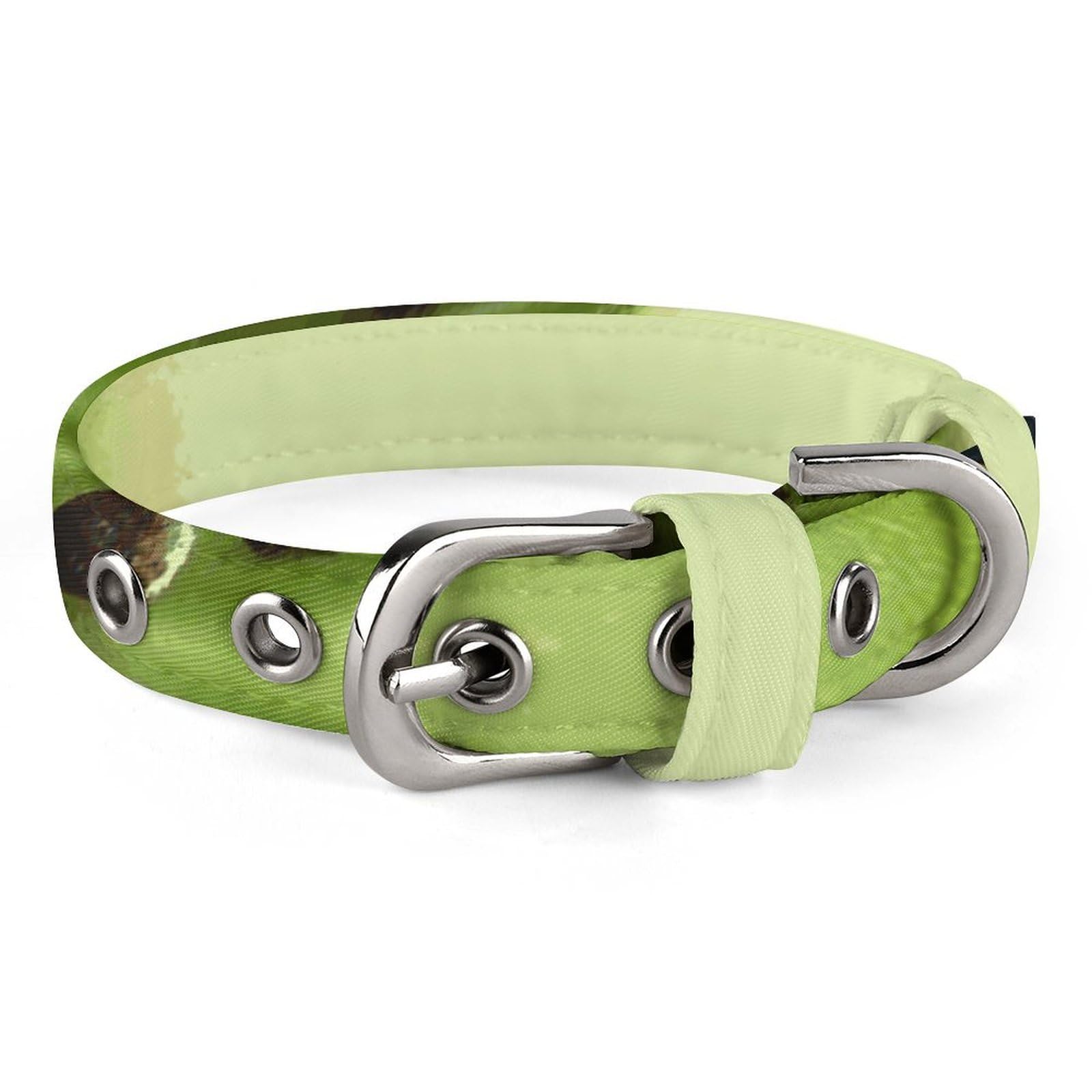 Collier réglable Kiwi Slice pour chiens et chats de petite et moyenne taille pour le quotidien