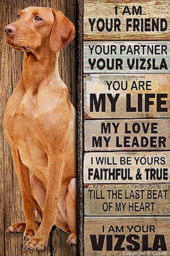 Cusde Dog Sign I Am Your Friend Gift for Vizsla Lovers Metal Tin Sign Vintage Retro Decorations Wall Art Posters Signs Gift for Bathroom Home Cabin