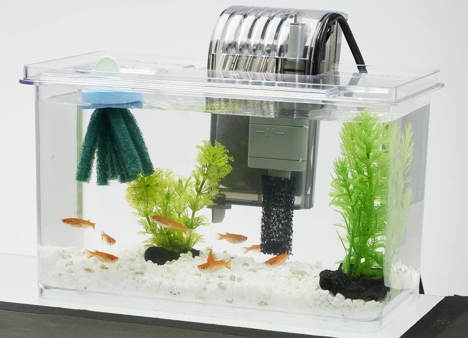 Amazon | テトラ メダカの繁殖を楽しむセット S 水槽 アクアリウム