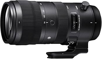 SIGMA 70-200mm F2.8 DG OS HSM S キヤノンEF用 Sigma 70-200mm F2.8 Sports DG OS HSM for Canon Mount : Amazon.ca