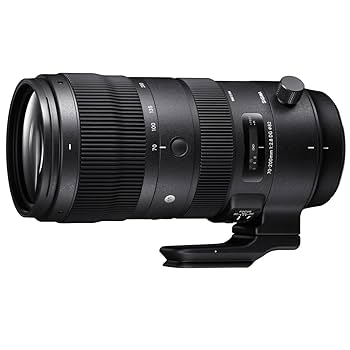 Amazon.co.jp: Sigma 70-200mm F2.8 DG OS HSM スポーツ望遠