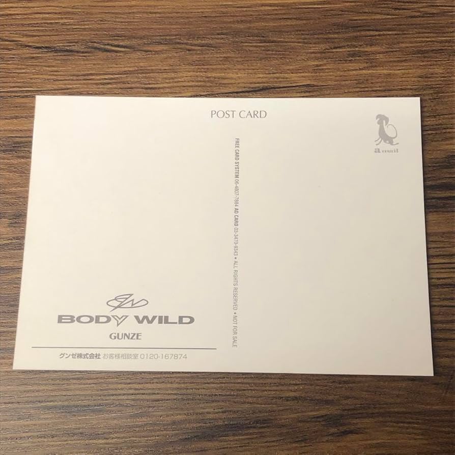 Amazon.co.jp: 篠原涼子 GUNZE BODY WILD ポストカード : おもちゃ