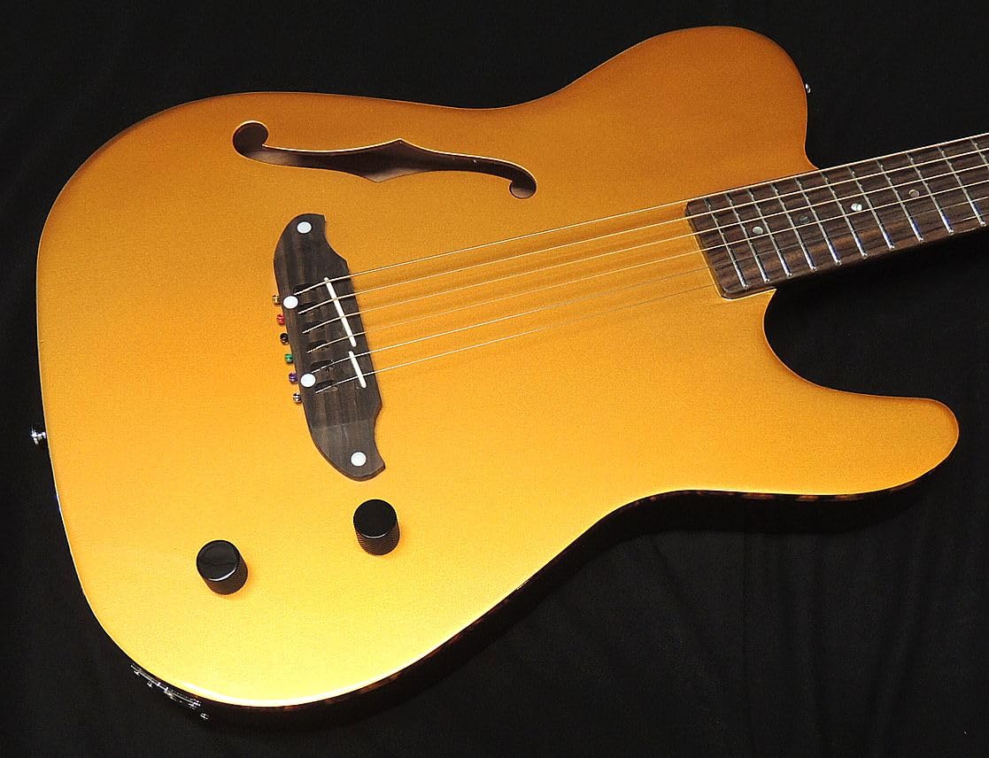 Amazon | SCHECTER OL-FL-P GO Oriental Line シェクター