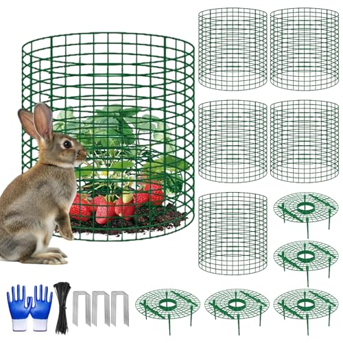 Nlicrst 5 Sets Strawberry Plant Support with Wire Plant Protectors 12.9x 11.8 Wire Plant Cages and Strawberry Growing Racks Animal Protection for Strawberry Tomato Garden Vegetables Plants