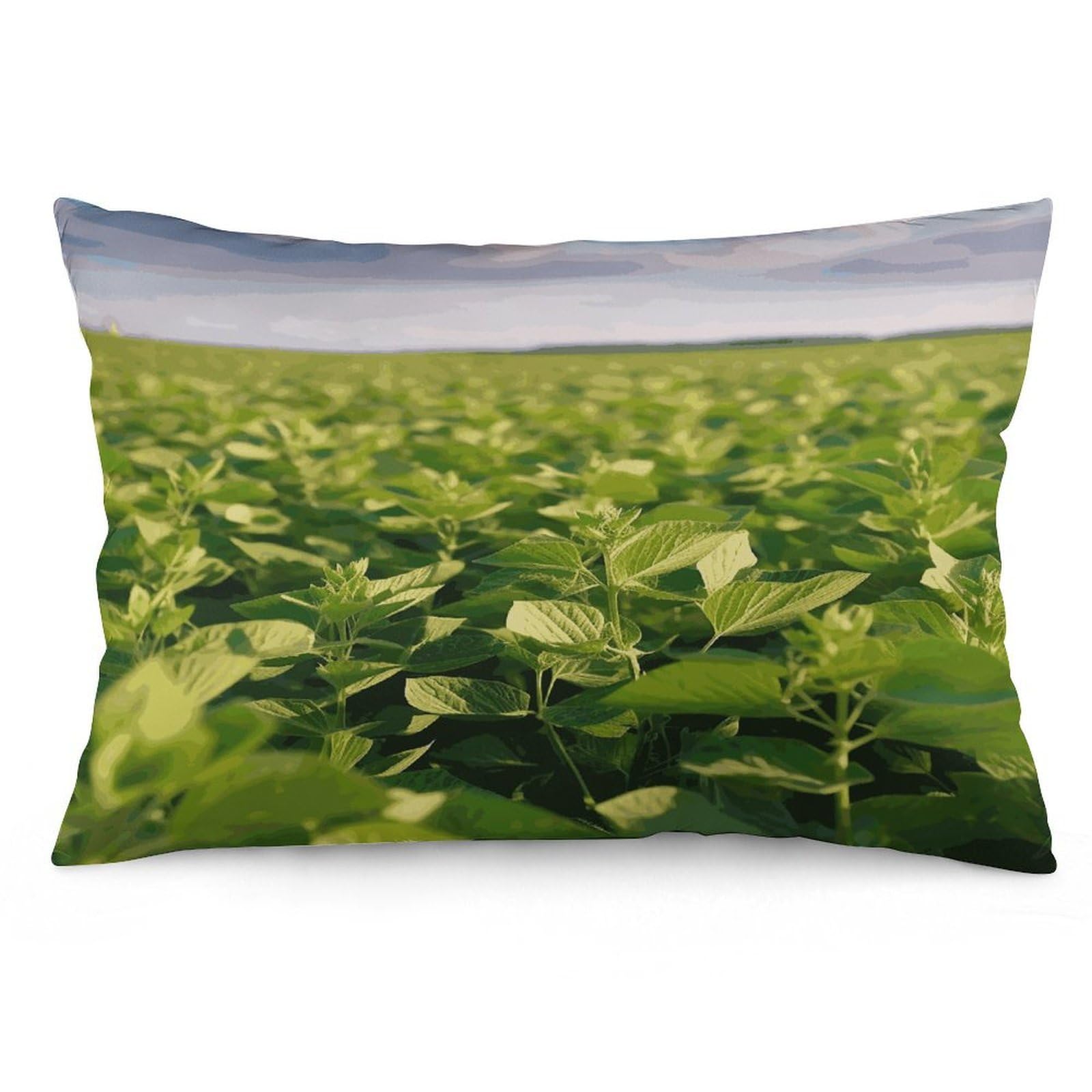 Soybean Field Throw Pillow Covers with Silent Zipper Polyester Pillow Protectors Removable Pillow Cases Soft Pillowcase Cozy Pillow Sham Cushion Cover for Sofa Car Bed 12 "x20