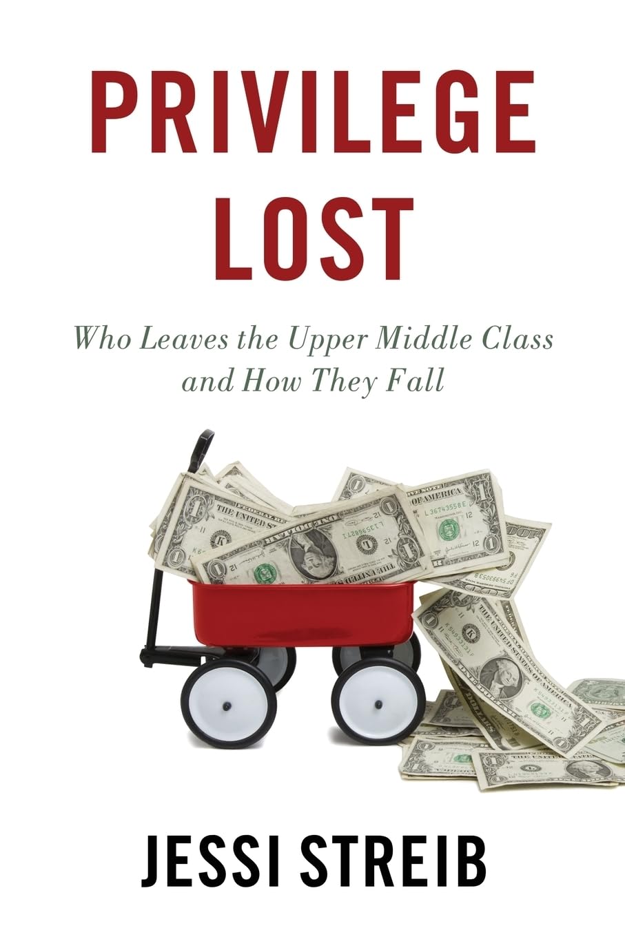 Buy Privilege Lost: Who Leaves the Upper Middle Class and How They Fall — BookShops.in
