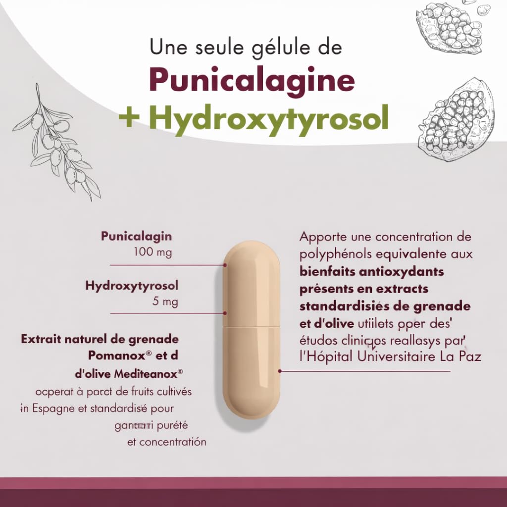 Granatum Plus - Punicalagine et Hydroxytyrosol - Extrait de Grenade et d'Huile d'Olive Extra Vierge - Antioxydant et Anti-inflammatoire - Soin de la Peau - Produit en Espagne - 1 Boîte de 60 Gélules