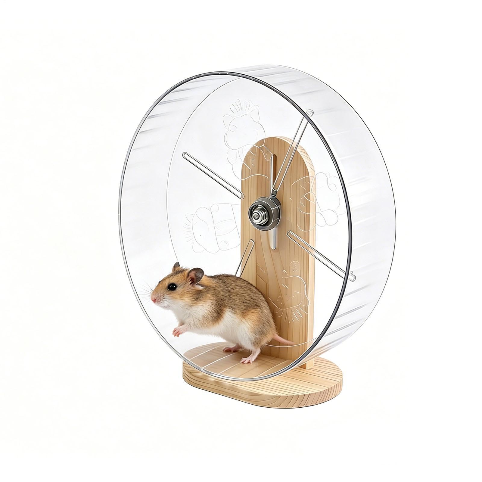Roue de hamster transparent avec support en acrylique pour lapin nain