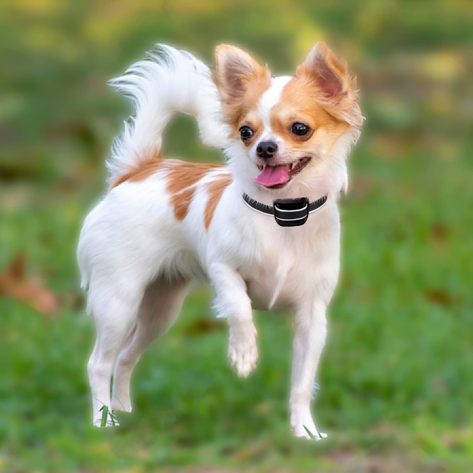 HZK Collar de Corteza de Perro PequeñO, Recargable Collares Antiladridos para Entrenamiento de Perros con 7 Modos de Sensibilidad Y VibracióN de Pitido, Negro