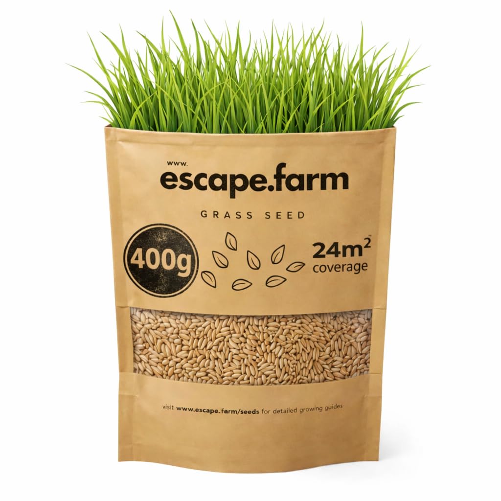 Hard-Wearing Premium Grass Seed for Lawn and Garden by Escape.farm (400g)