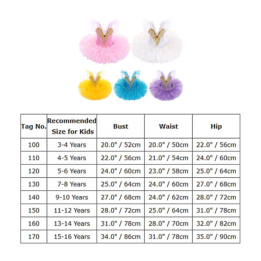 IDOPIP Tutu de ballet pour filles : justaucorps à manches flottantes avec col en V brodé pour filles – Tutu de danse crêpe performance