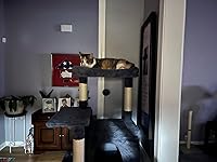 Review Image by connie connie