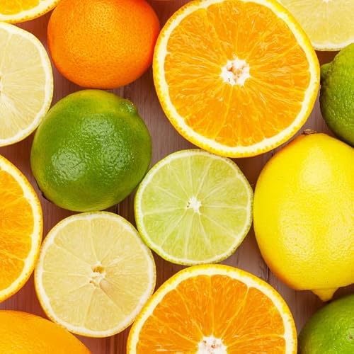 Tala Glass Citrus Juicer, Easy to use and Clean with a glass 400ml reservoir, Ideal for Fresh Juices and Extracting Citrus Fruit