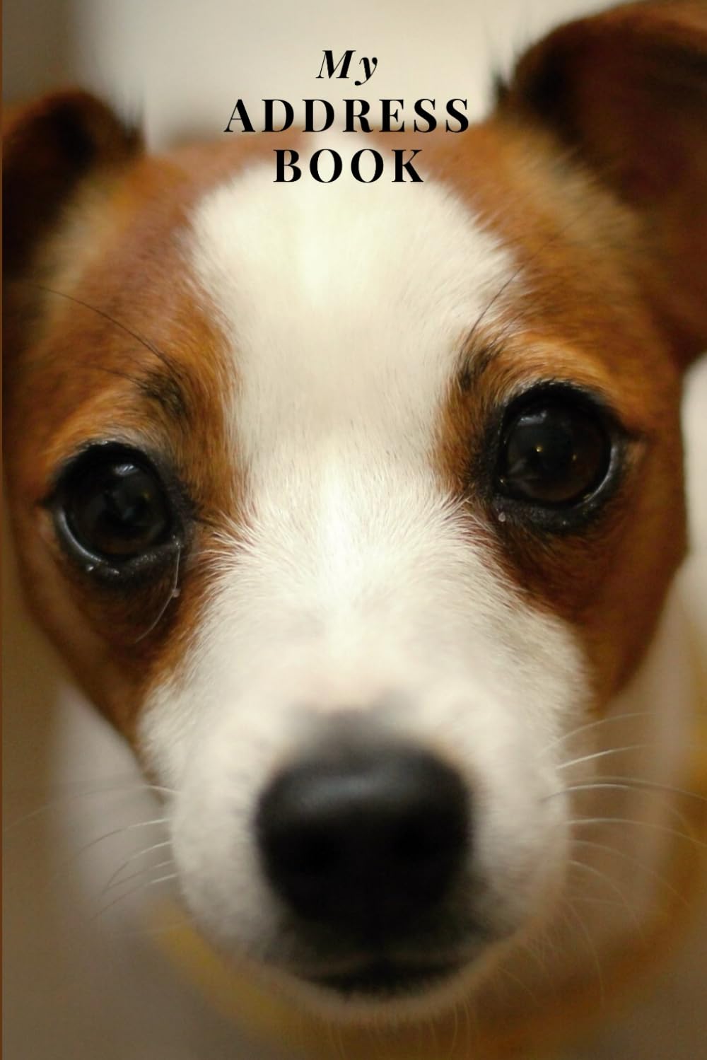 My Address Book: Jack Russell | Address Book for Names, Addresses, Phone Numbers, E-mails and Birthdays
