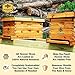 Hoover Hives Complete 8-Frame Beehive Kit – Wax-Coated Fir Wood, Includes 2 Deep Brood Boxes, 1 Medium Super, Langstroth Frames & CellTech Foundations – Durable, Weather-Resistant Beekeeping Supplies