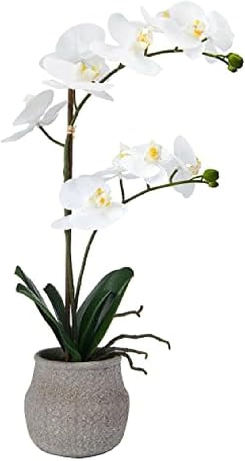 Mikasa Artificial Orchid in Pot, Real Touch Phalaenopsis Orchid, Embossed Weave Cement Pot, 16-Inch Single Branch, White/Yellow (Pack of 2)