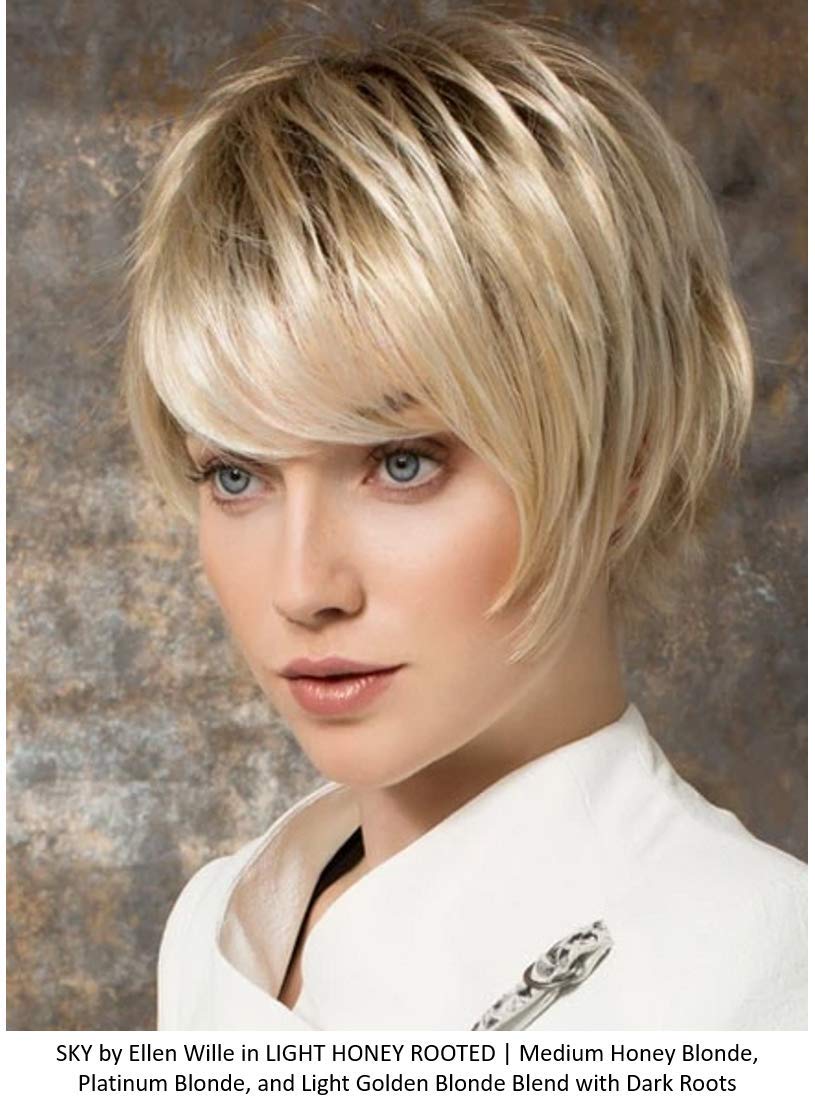 SKY Synthetic Wig 4 PC Bundle: Sky Synthetic Wig by Ellen Wille, 4oz Mara Ray Luxury Shampoo, Wide Tooth Comb and Belle of Hope 19 Page Q & A Book (Expresso Mix)