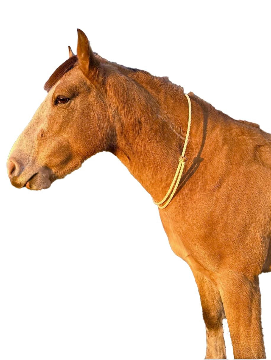 Rêne De Cou (Neck Rope) Pour Cheval - Coton Gris - Équitation Sans Mors - NEUF