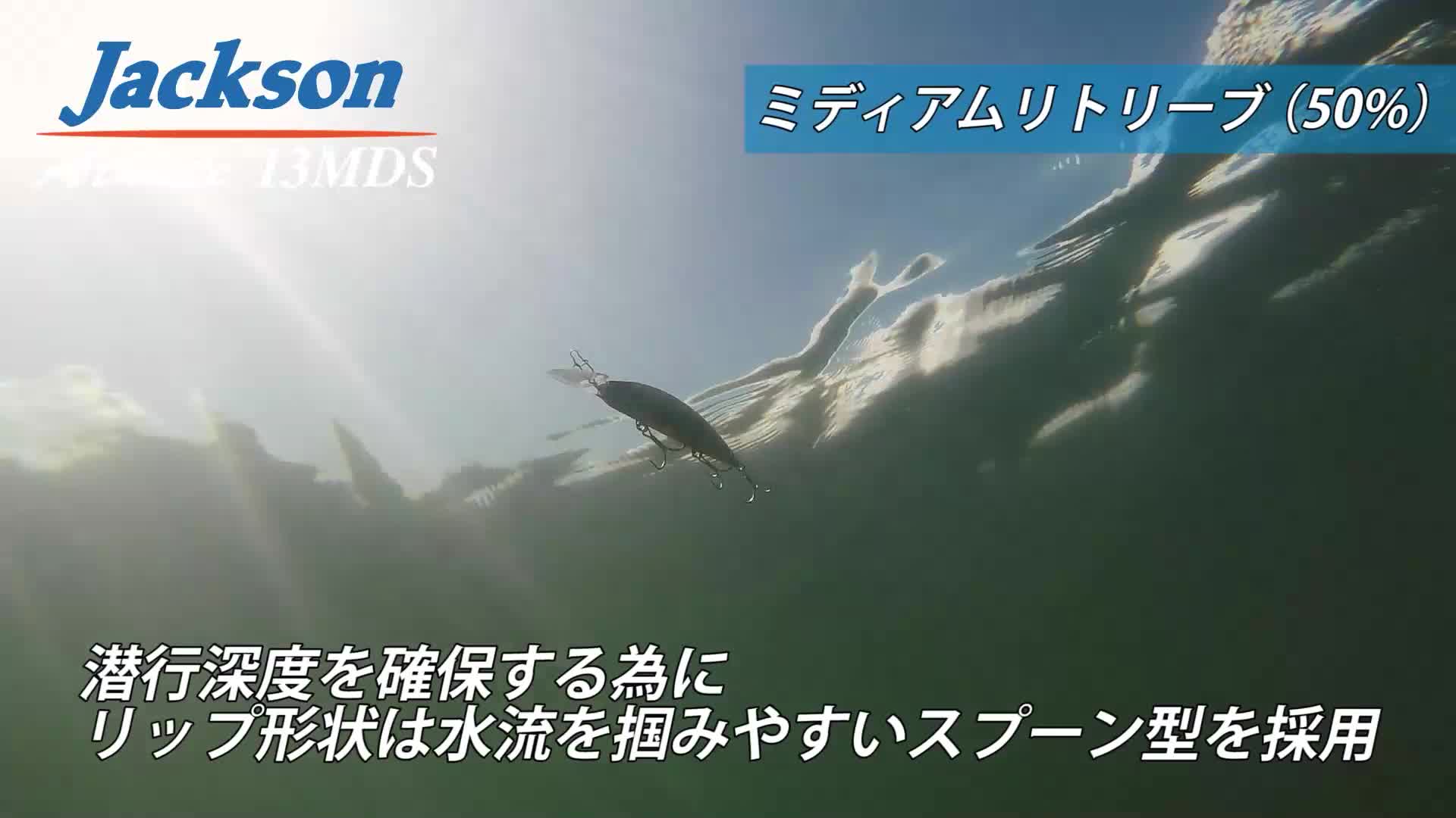 Amazon.co.jp: Jackson(ジャクソン) ミノー アスリート 13MDS 130mm