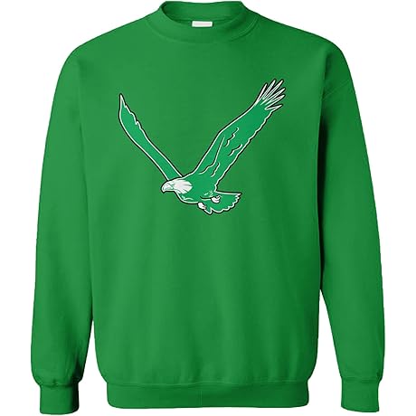 Vintage Eagles Sweatshirt: Timeless Spirit for the True Believer