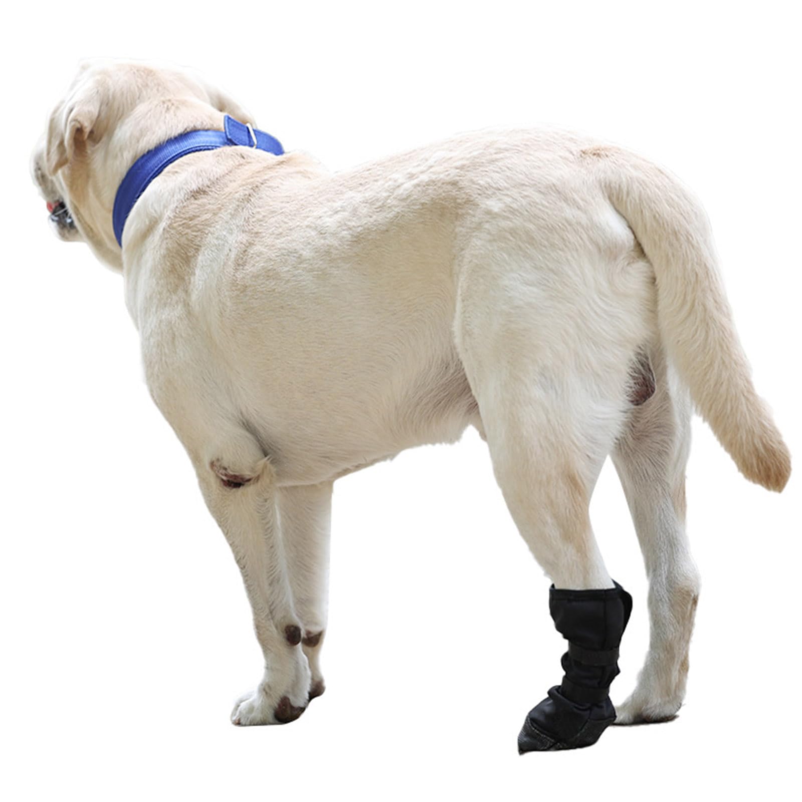 Lot de 2 paires de chaussettes de protection épaisses pour chien avec autocollant réglable pour éviter de glisser