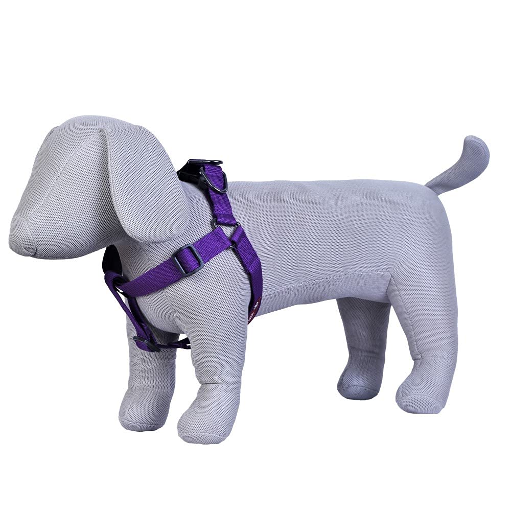 Pets Like Dog Polyester Regular V Harness Purple(Medium)