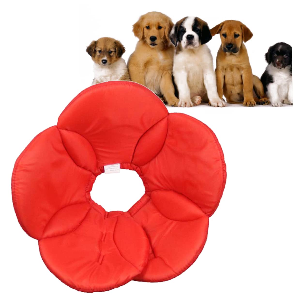 Kisangel 3St Schutzhülle Hunde hundekragen Dog Collars Hundekegelhalsband weich Anti-Biss-Halsband für Hunde Haustierhalsband aus Schwammblumen Schwamm rot