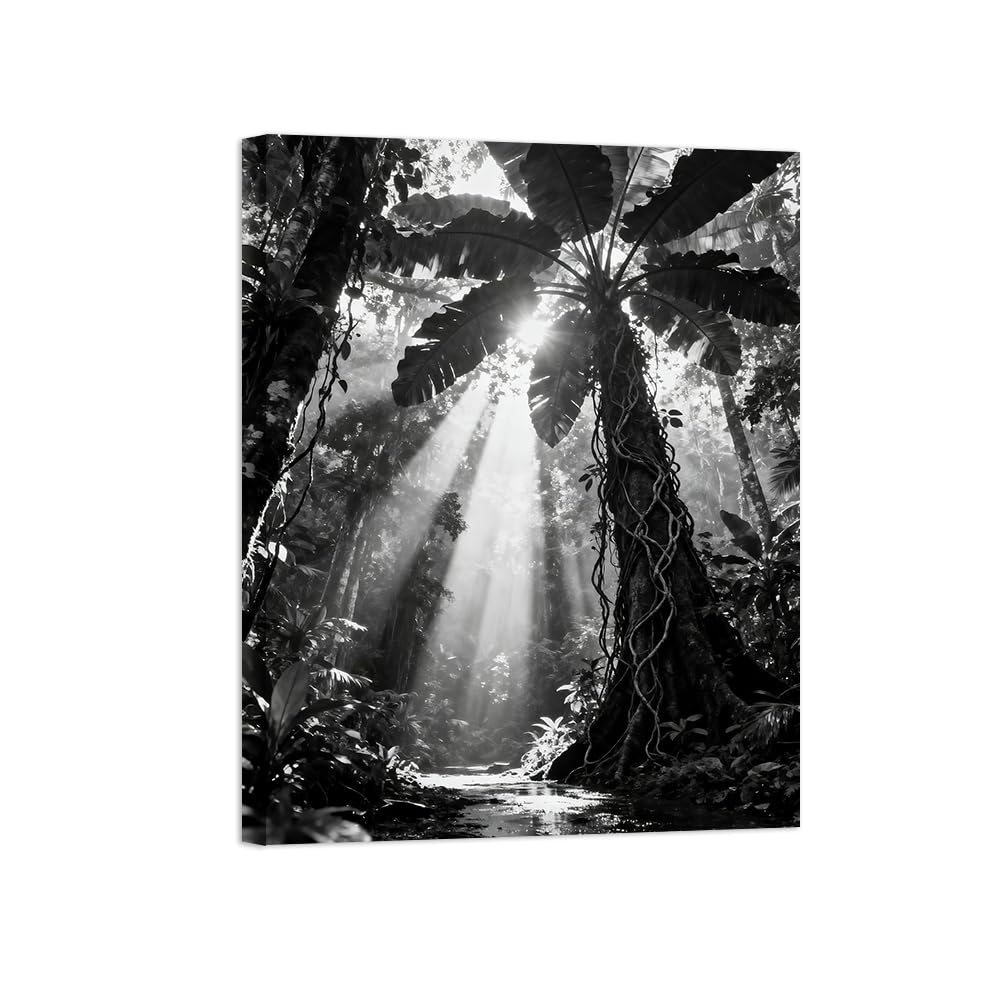 Black White Landscape Wall Art. Tree Sunshine 4. Picture 70x90cm Unframed
