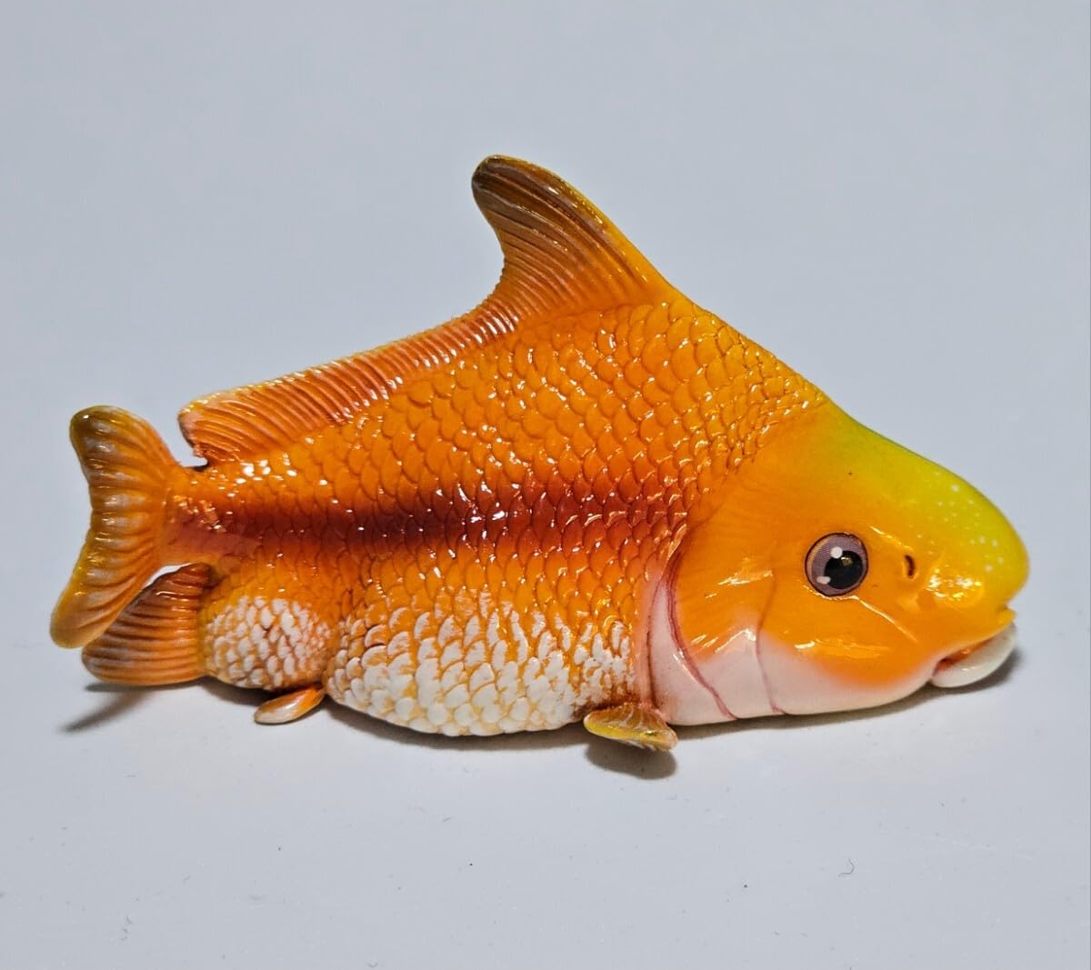 Amazon.co.jp: 動物の惑星 イェンツーユイシークレット 中国的珍寶