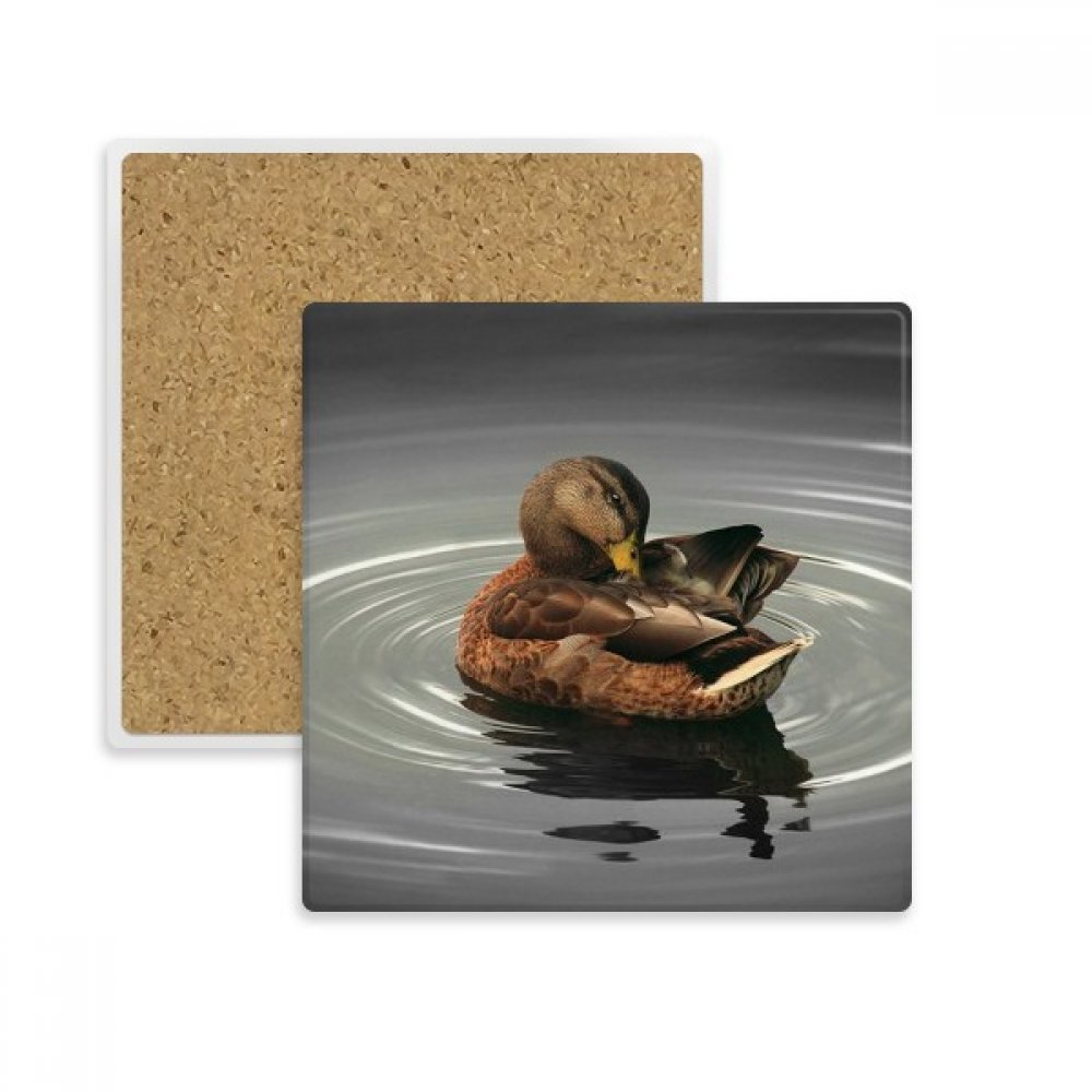 Cygne animal photographie organisme place coaster tasse absorbant