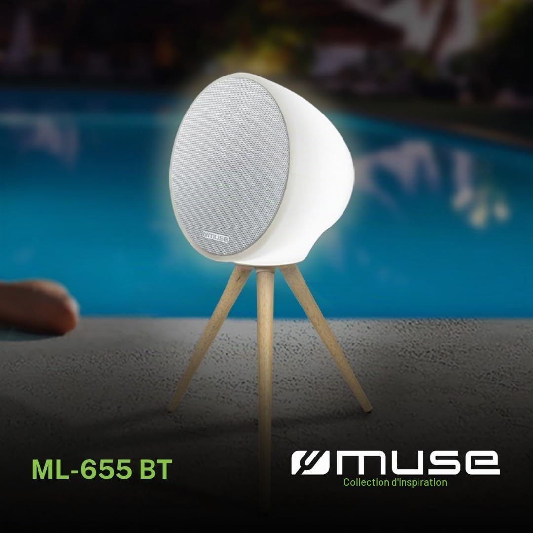 Muse ML 655 BT Enceinte Bluetooth Portable Enceintes sans fil