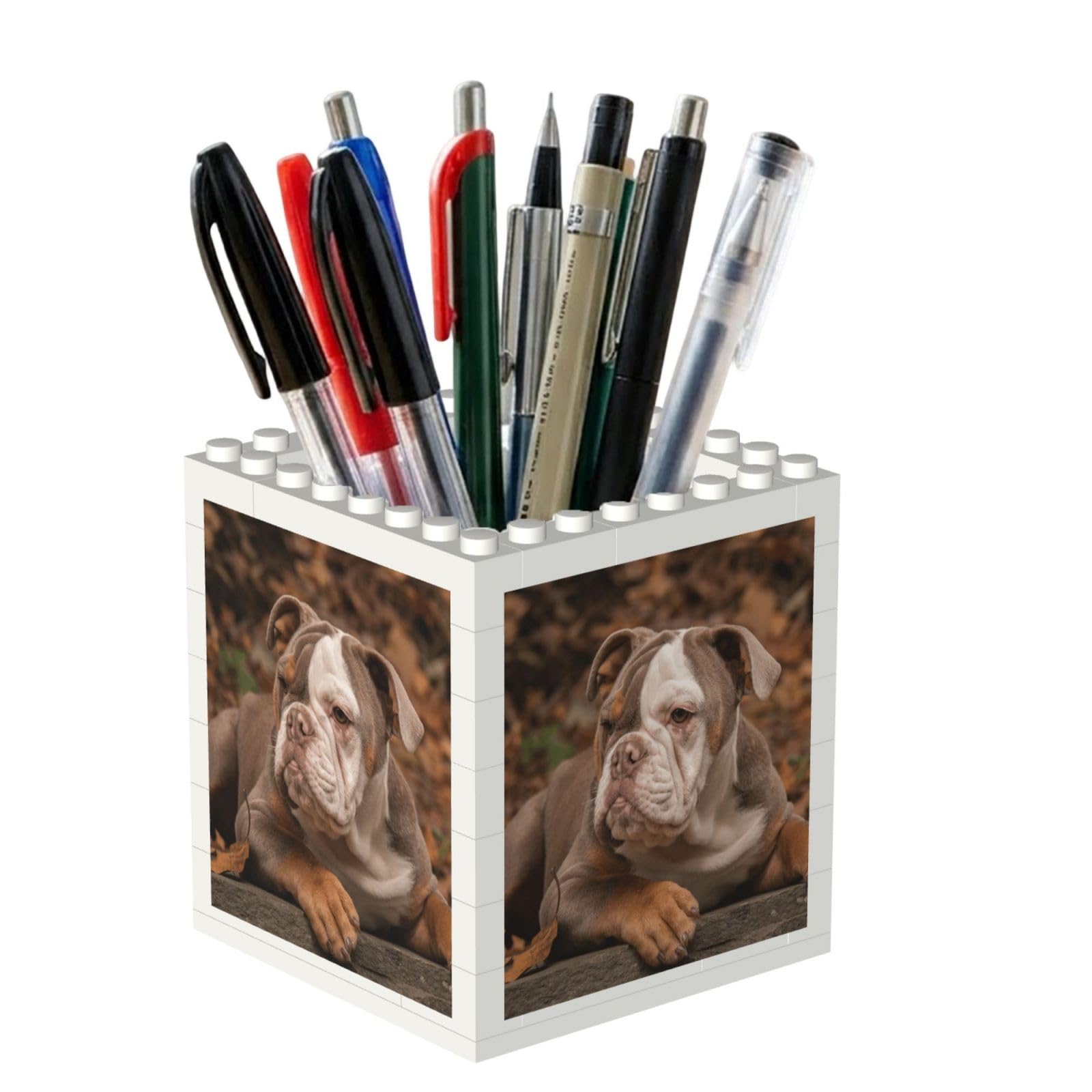 Poadnly American Bulldog Puppy, Pen Pot Pencil Holder for Office Home School, Compact Desk Organiser for Office Stationery