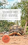 Schildkröten haben keinen Außenspiegel: und andere Geschichten aus Madagaskar - Jutta Hammer 
