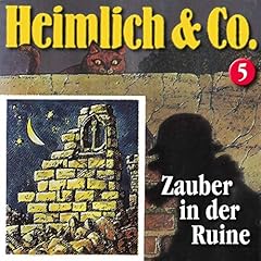 Zauber in der Ruine Audiolibro Por Hans-Joachim Herwald arte de portada