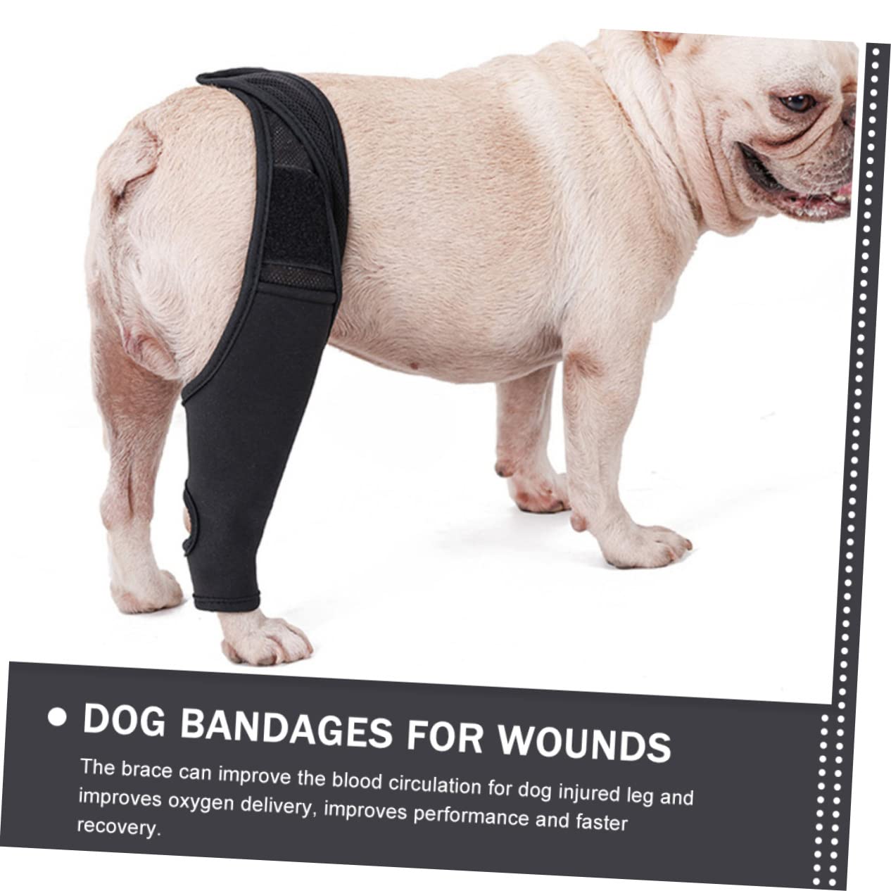 Abaodam 5 Pz per Il Naso del Cane Bende per Cani per Ferite Maniche delle Gambe Articolazione del Cane Zampa Posteriore del Tutore per Cani Manica al Ginocchio Il Cane