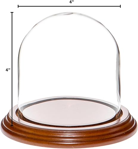 Miniatura 8 de Plymor Cúpula de cristal de 4" x 4" (base de chapa de roble)