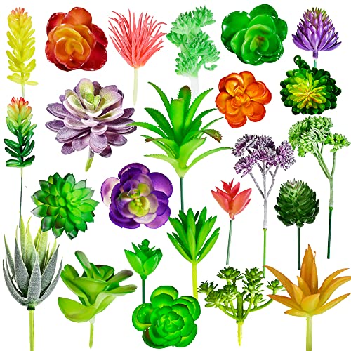 Künstliche Sukkulenten 24 Stück, künstliche Sukkulenten, Realistische Gefälschte Sukkulenten, Künstliche Sukkulenten, Ungetopft für Landschaftsdekoration, Gartendekoration Cover