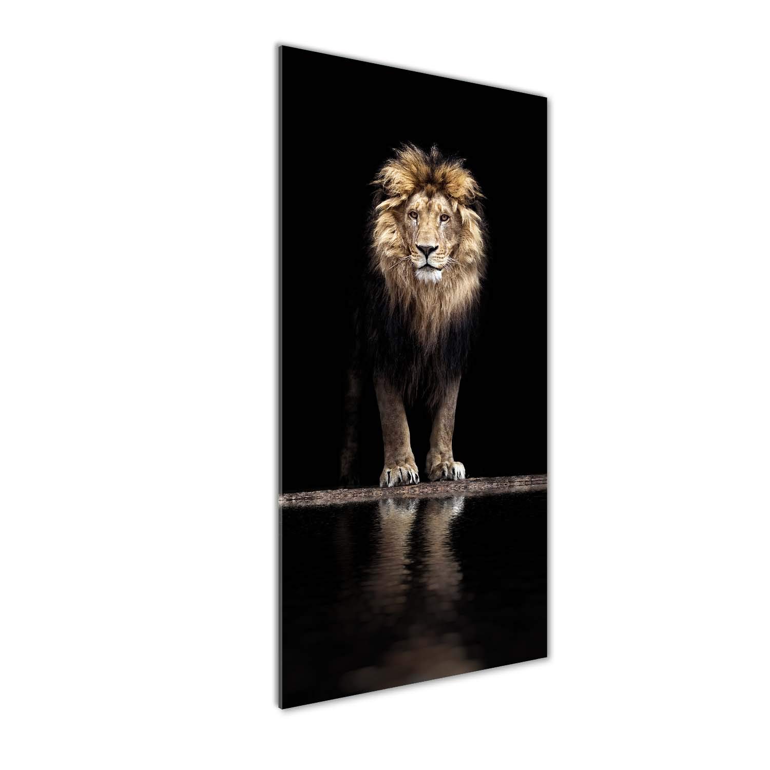 Impression sur Verre Acrylique Tulup - Le Prestige du Portrait d'un Lion Noir pour Déco Mural