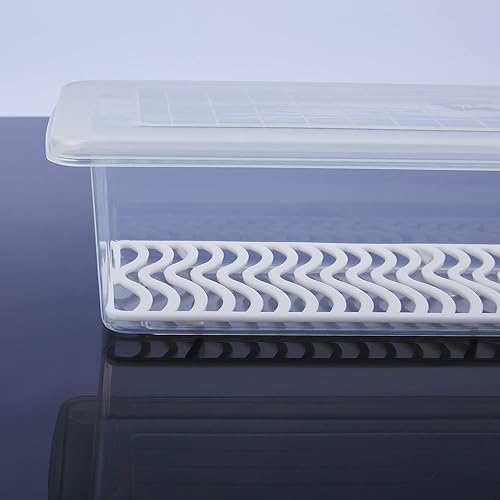 Miniatura 8 de Vtopmart Contenedores de almacenamiento de alimentos para refrigerador paquete de 6 unidades de 15 litros con placa de drenaje extraíble recipientes