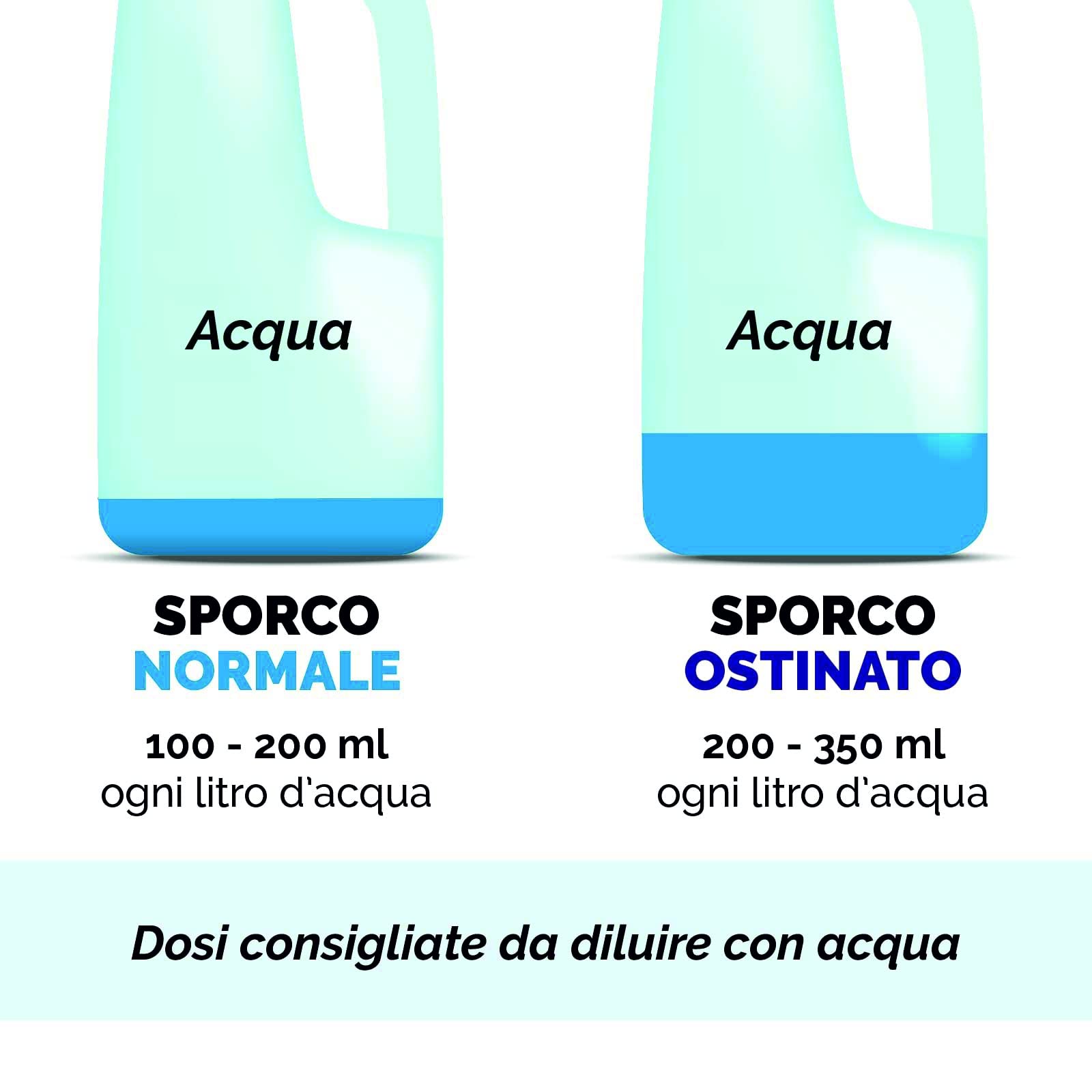 SGRASSATORE per Grassi CARBONIZZATI Grill Clean CONCENTRATO - Pz. 2 da 1 L HD