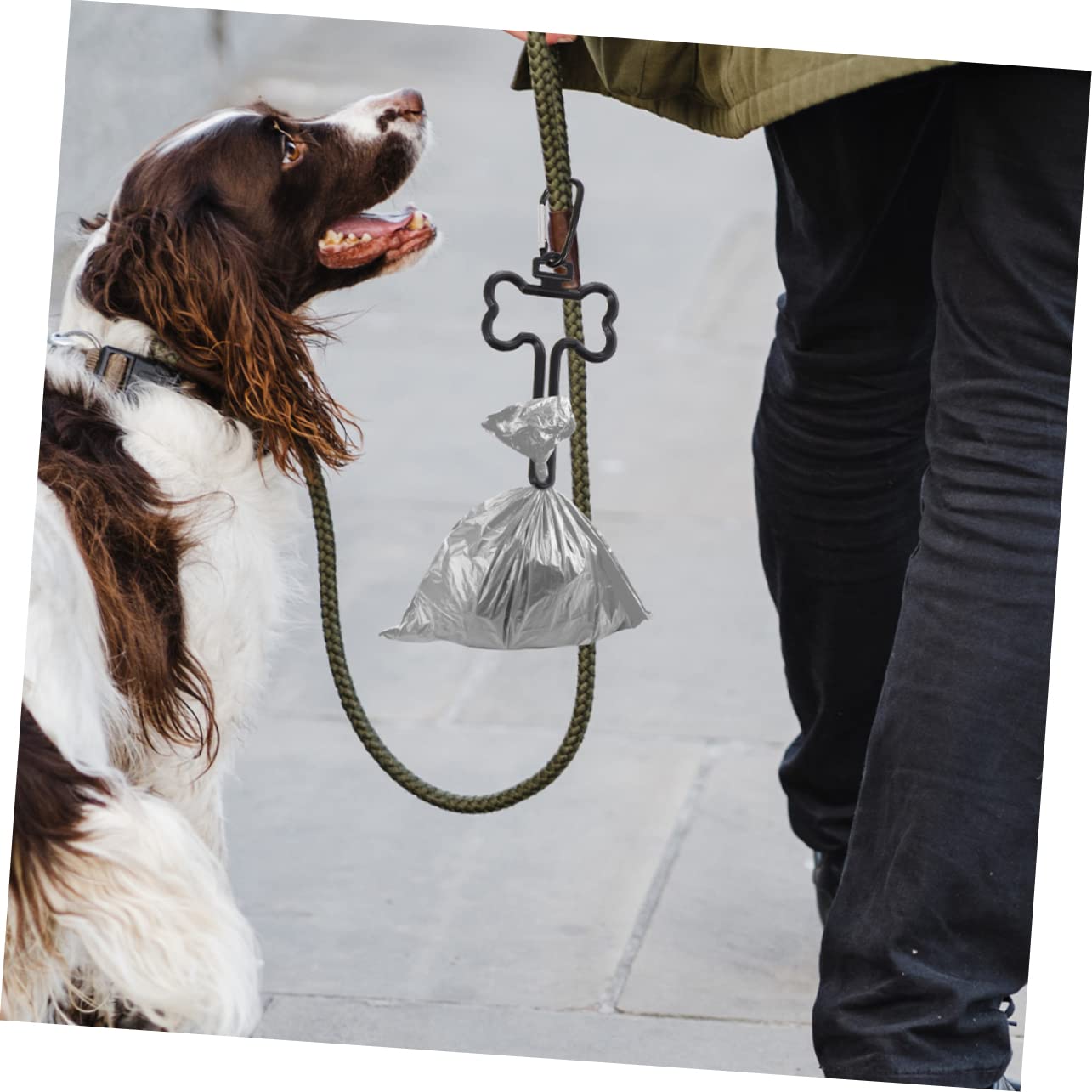 Mipcase 5 Ensembles Clip Pour À Crottes De Chien Distributeur De À Crottes Mignons À Crottes De Chien À Crottes Lingettes Pour Animaux De Compagnie 10 pièces * 5