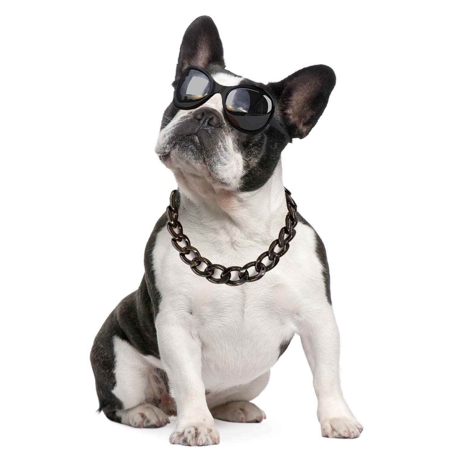 Black Dog Chain Collar-3/4 Inch （20mm） Width Cuban Link Durable Dog Necklace, Cute Fashion Pet Collar for Pit Bulldog, Light Metal Jewelry Bold Chain