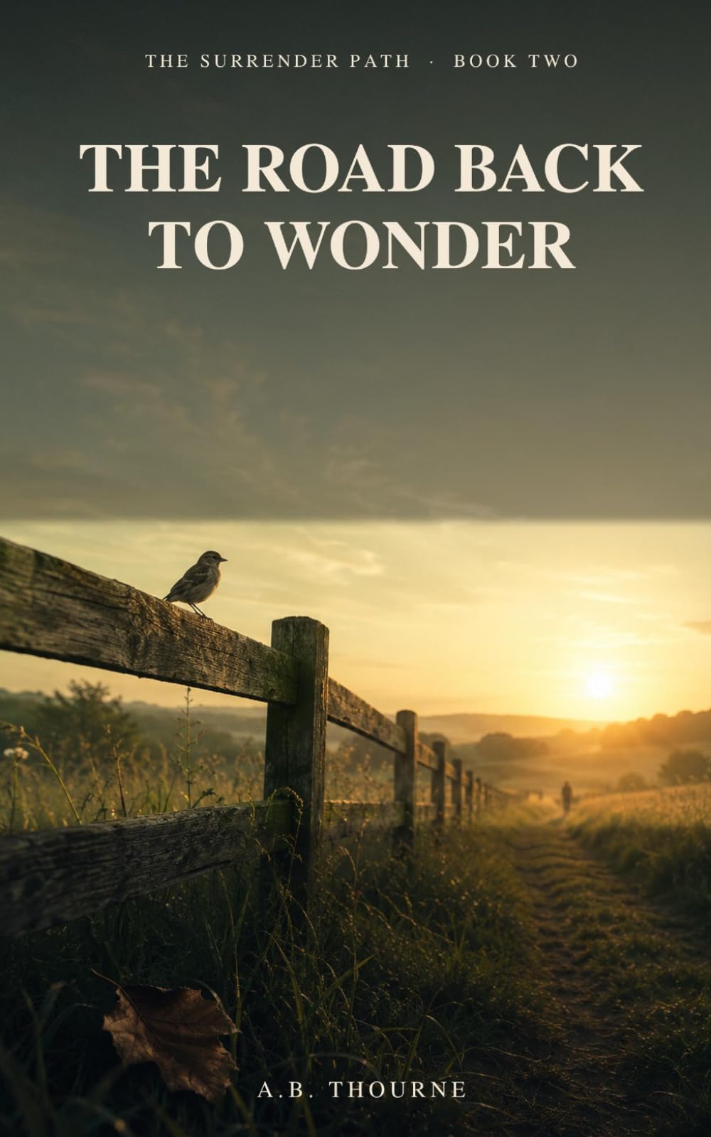 THE ROAD BACK TO WONDER: A Journey Into Unexpected Grace (The Surrender Path)