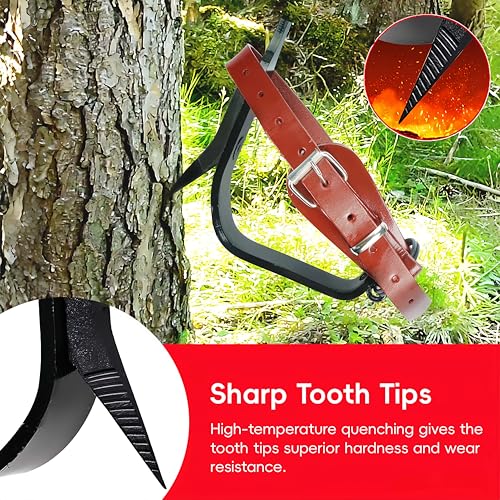bimiti Upgraded Tree Climbing Spikes Set, 1 Pair Adjustable Non-Slip Climbing Gear with Straps, 350lbs Load Capacity Climbing Spurs for Tree Trimming, Tree Cutting, Tree Work, Picking Fruit by bimiti - Image 3