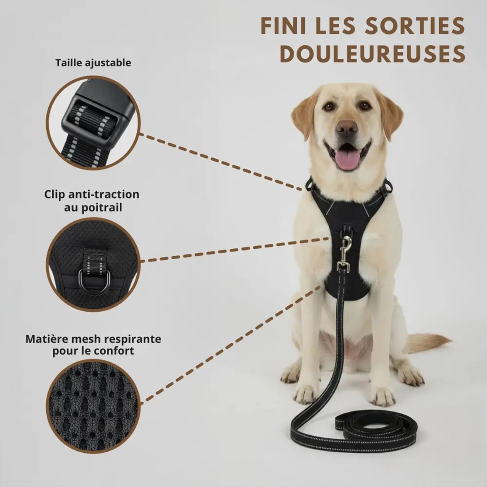 Harnais Elyo Anti Traction pour Chien – Harnais Réglable et Respirant avec Double Attache Avant et Arrière, Bandes Réfléchissantes et Poignée de Contrôle pour Promenades Quotidiennes (L) - 4